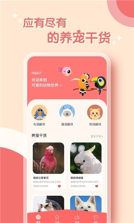鹦鹉翻译器安卓版v1.0.0