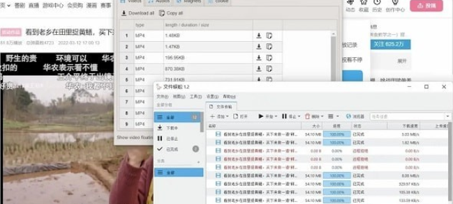 filecxx绿色版v2.81