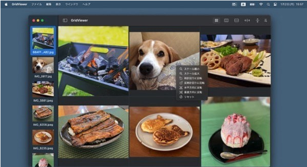 GridViewer Mac版V1.0