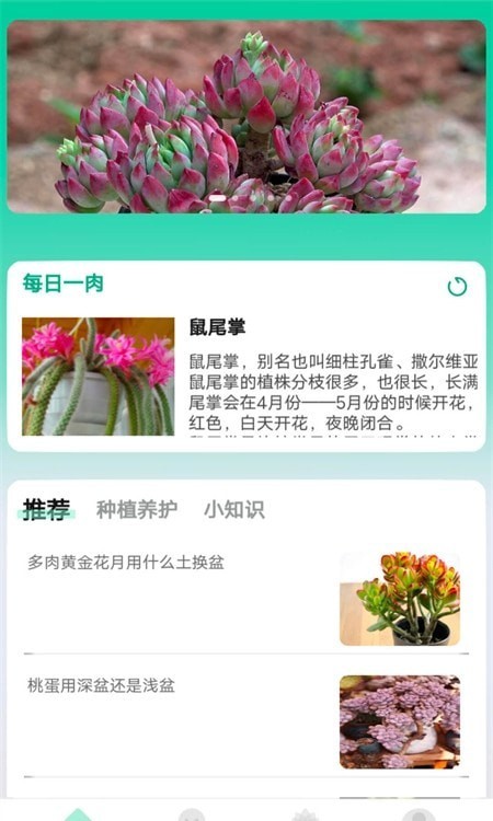 掌中百科最新版