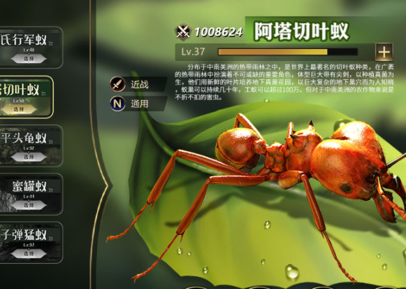 小小蚁国小米版