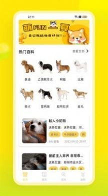 易超科安卓版