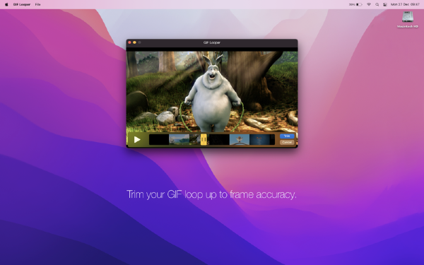 GIF Looper Mac版