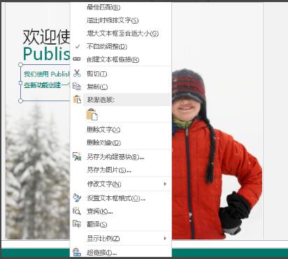 Publisher电脑版