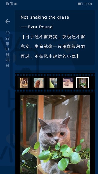 时间旅馆手机版