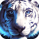 野生老虎模拟器v1.0.5
