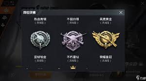 不朽星钻的下一等级称号是什么