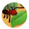 蚂蚁进化3dv1.0