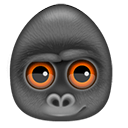 DebookeeV8.0.1Mac版