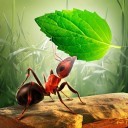 小蚂蚁部落v2.2.4