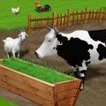 養殖和飼養牛v2.1手機版