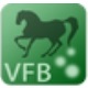VisualFreeBasicv5.5.5最新版