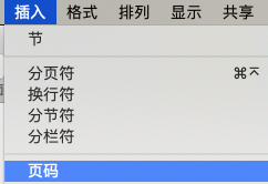 pages怎么插入页码