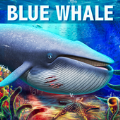 深海蓝鲸模拟v1.1.5安卓版