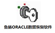 ORACLE数据恢复v1.0