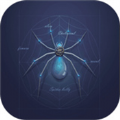 变形蜘蛛v1.0安卓版