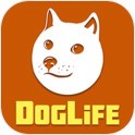 狗狗的一生v1.0.2安卓版
