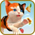沙雕猫模拟器手机版v1.0.1