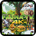 Fauna TV Mac版V1.0