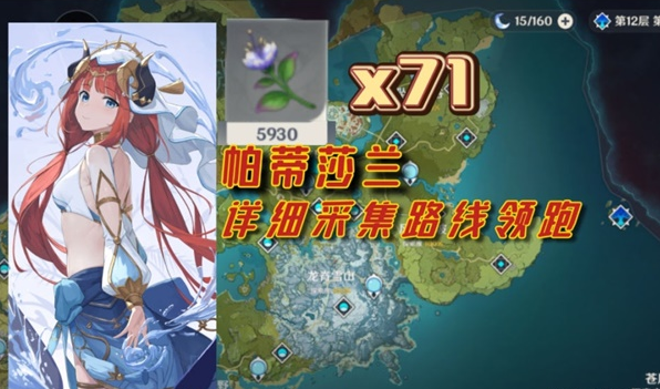 原神71朵帕蒂莎兰采集路线