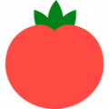番茄笔记助手安卓版v9.2.0.1