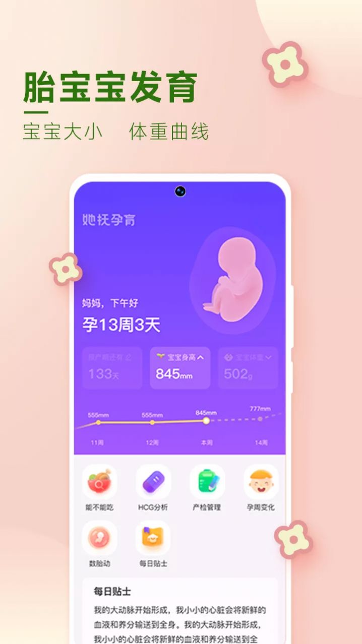 她抚孕育安卓版v2.0.0