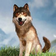 野狼模拟器3DWild Wolf Simulator 3D安卓版v1.3