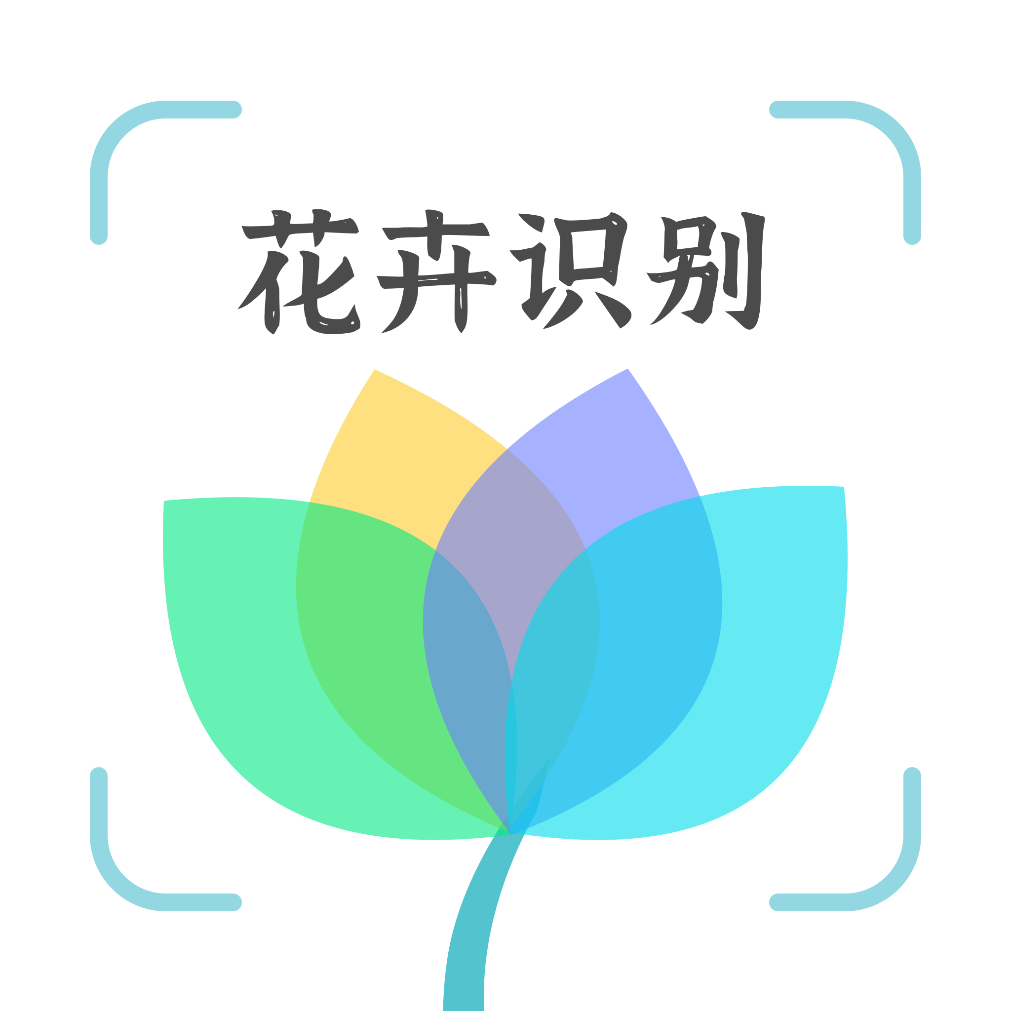 花卉识别v1.0.1安卓版