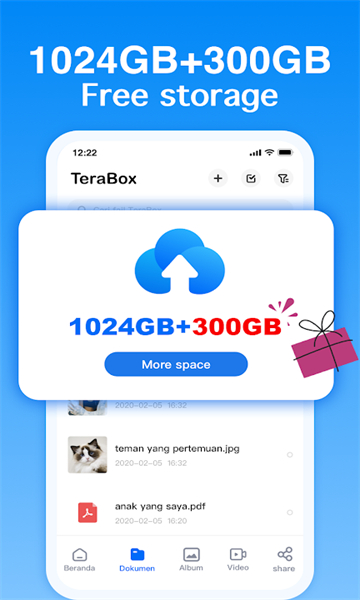 TeraBox网盘官方版截图2