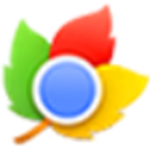 枫树浏览器v2.0.9.20