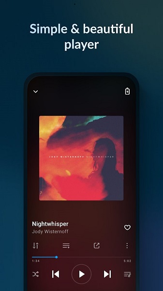 lark player apk(云雀音乐播放器)
