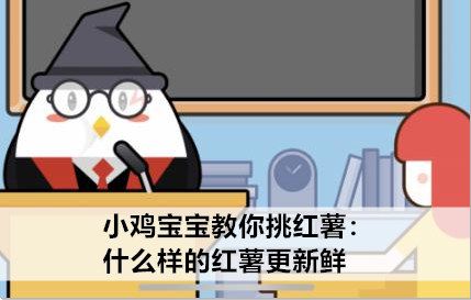 小鸡宝宝教你挑红薯：什么样的红薯更新鲜