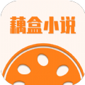 藕盒小说手机版