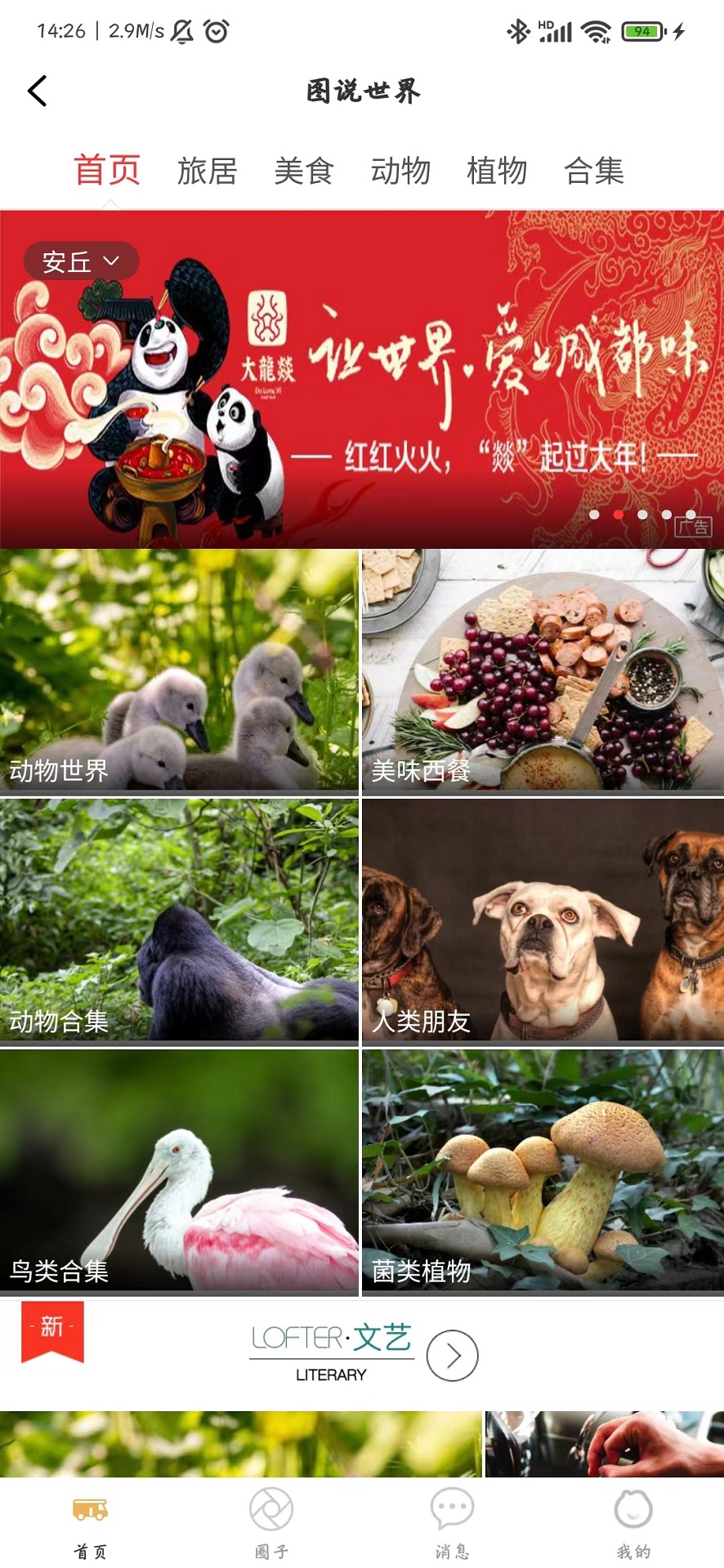 赶点旅居最新版