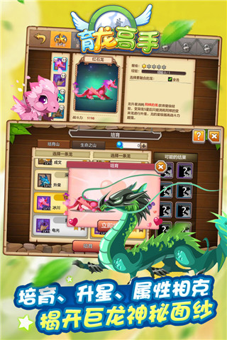 育龙高手v2.8.02