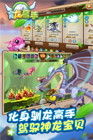 育龙高手v2.8.03