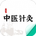 中医针灸最新版