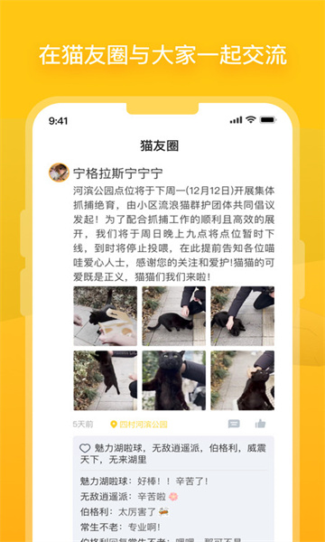 哈啰街猫最新版截图0
