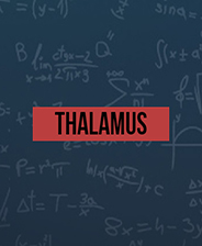 Thalamus