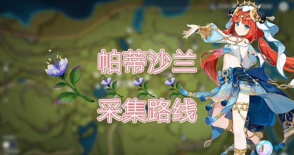 原神帕蒂沙兰收集路线