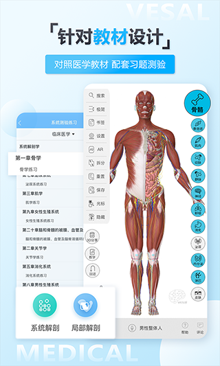 维萨里3D解剖安卓版