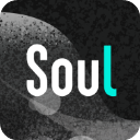 灵魂soul v4.78.1