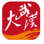 大武汉安卓版