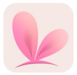 VTube Studio最新版
