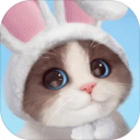 我和我的猫v1.1.0.27