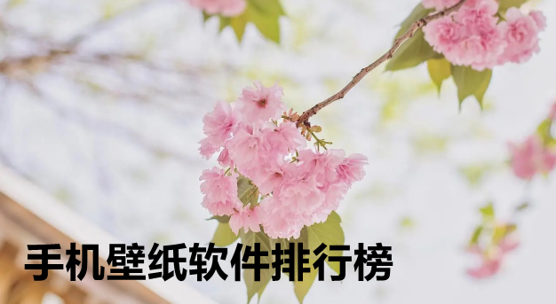 手机壁纸软件排行榜