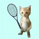 猫猫网球安卓版