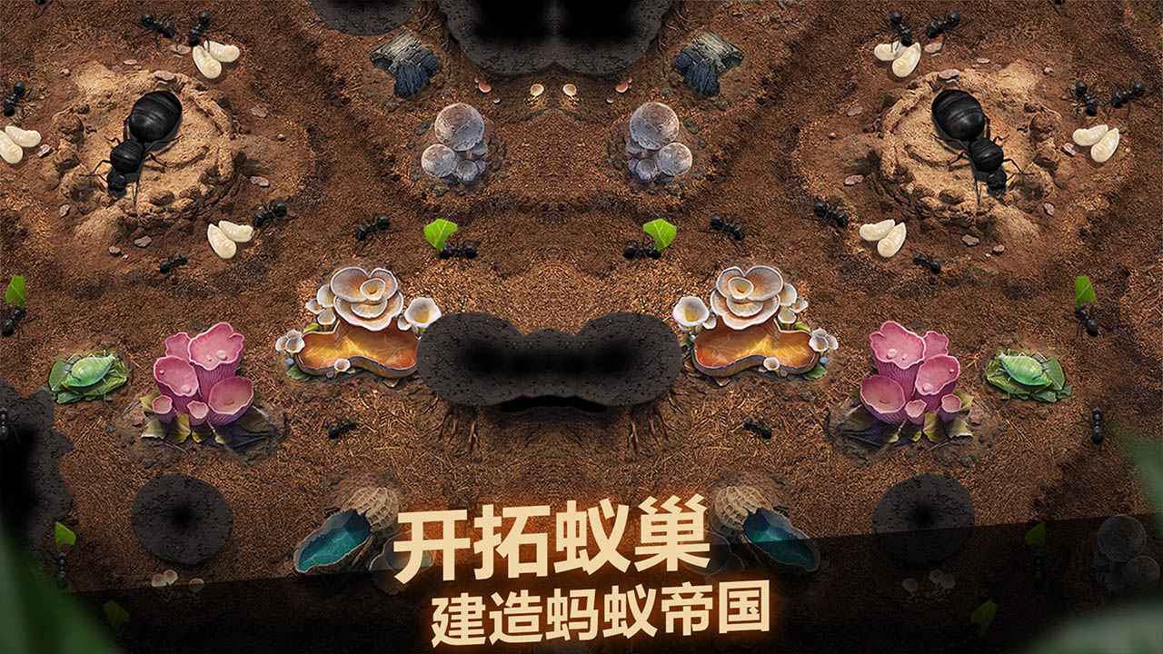 小小蚁国国际服安卓版2