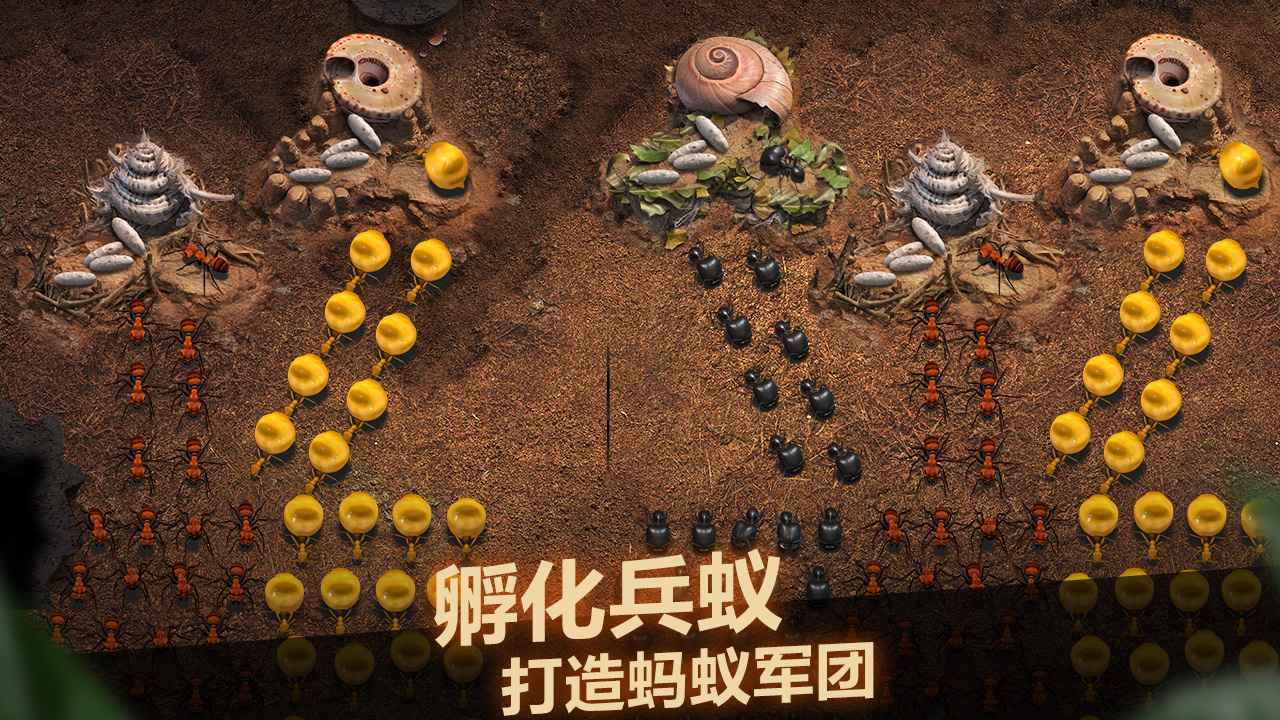 小小蚁国国际服安卓版3