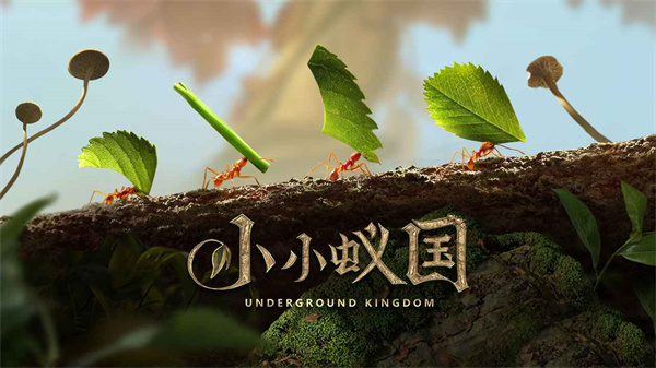小小蚁国v1.57.01